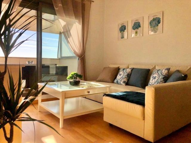 Gatu Premium Atico Parra, Parking, Piscina Comun, Terraza, Wifi , " Preferente Mayores De 25 Anos Y Familias " Эль-Пуэрто-де-Санта-Мария Экстерьер фото