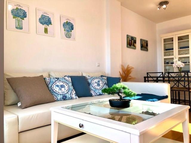 Gatu Premium Atico Parra, Parking, Piscina Comun, Terraza, Wifi , " Preferente Mayores De 25 Anos Y Familias " Эль-Пуэрто-де-Санта-Мария Экстерьер фото